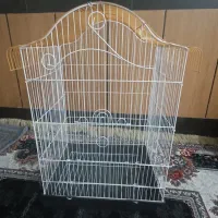 قفس