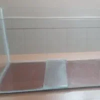 آکواریوم ماهی