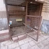قفس. خروس ومرغ