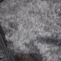 لباس کار|لباس|سنندج, |دیوار