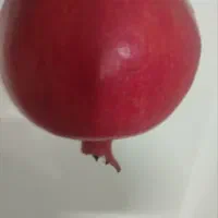 انار آبدار  از باغ مخصوص شب یلدا