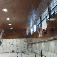 نقاشی حرفهای بابهترین کیفیت وقیمت منصفانه