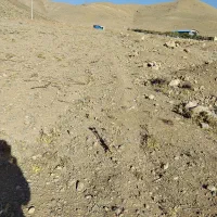 زمین زراعی و کشاورزی|اجارهٔ دفتر صنعتی، کشاورزی، تجاری|کیار, |دیوار