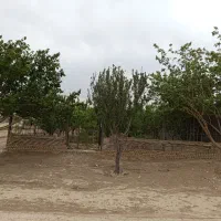 فروش-باغچه-500-متری-چسب-بافت-مسکونی