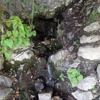 کوهنوردی و طبیعت گردی
