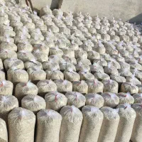 تفاله چغندر