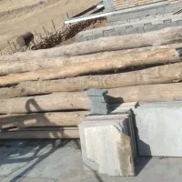 دار چنار بی عیب 4متری|عمده‌فروشی|جوانرود, |دیوار
