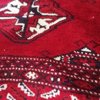 قالی ترکی|فرش|شیراز, شهرک والفجر|دیوار