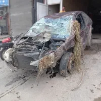 پژوSDتصادفی