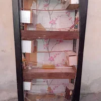 قفس ۳ طبقه بزرگ و شیک انواع پرنده