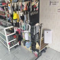 استند پانچی، رگال جا جورابی