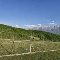 ییلاقی پل سفید سنگده ۱۲۰۰ متر|فروش زمین و ملک کلنگی|فریم, |دیوار