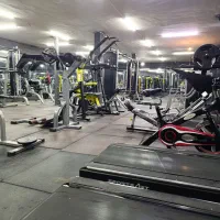 مربی بدن سازی