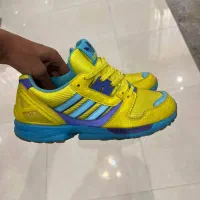 zxاتموس طوطی کرونا ابنباتی رویال اورا|کیف، کفش، کمربند|تهران, خانی آباد نو جنوبی|دیوار