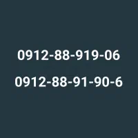 0912-88-919-06