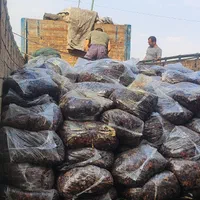 خرماضایعات|عمده‌فروشی|تبریز, |دیوار