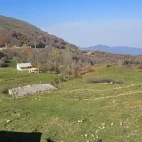 استخدام نیروی کارخانم