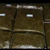 سبزی ( قورمه وماهی ) رامهرمز بخار پز   و بوشهر|خوردنی و آشامیدنی|بوشهر, |دیوار