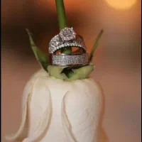 فیلمبرداری عقد و عروسی به مدت محدود|خدمات پذیرایی، مراسم|اهواز, کیانپارس |دیوار