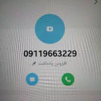 9119663229