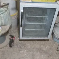 دستگاه‌جوجه‌کش‌با‌قفس‌لاری