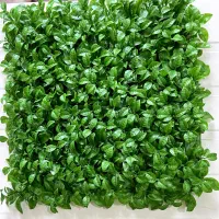 گرین وال گرینوال زیر قیمت بازار تعداد 5 پنل