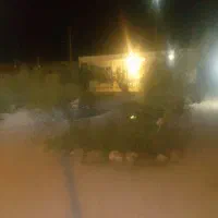 اجاره منزل سوئیت واقع درشهردیهوک