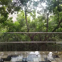 پرستارپرستار. کار در منزل