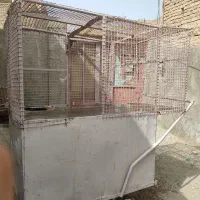 گاری|فروشگاه و مغازه|خاش, |دیوار