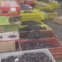 فروش دوتن خرما کده