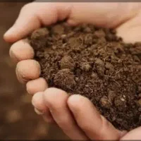 نیازمند خاک باغچه