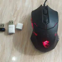 موس و دانگل