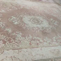 فرش ۱۲متری ۱۵۰۰شانه|فرش|مشهد, دانشجو|دیوار