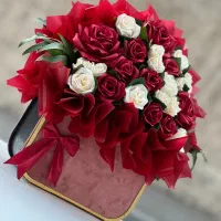 گل جاودان پاپیون