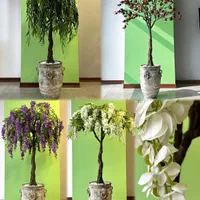 انواع درخت،درختچه مصنوعی جاودان،نخل،شکوفه،بابا ادم|گل مصنوعی|مشهد, امیر|دیوار
