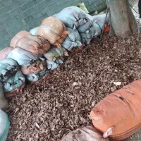 تولیدی انواع خاک|خدمات باغبانی و درختکاری|رشت, فخب|دیوار