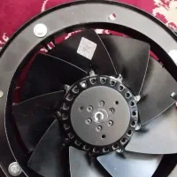 فن زیلابگ نو نو