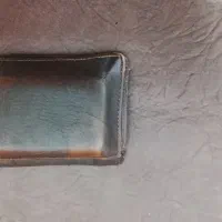 پیدا شده