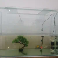 آکواریوم شیشه خم