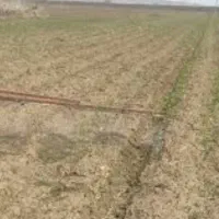 فروش. زمین کشاورزی با دو چاه برقی سرحد دشت نمدان|فروش دفتر صنعتی، کشاورزی، تجاری|اقلید, |دیوار