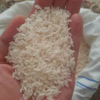 برنج هاشمی درجه۱