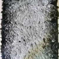 فرش شگی ۴ متری ب همراه پادری و ۲تا کوسن