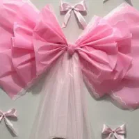 کارگر و پرستارکودک، خانم