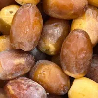 رطب و خرمای  کبکاب اعلا|خوردنی و آشامیدنی|شیراز, جوادیه|دیوار