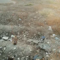 فروش زمین