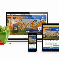 طراحی سایت حرفه ای با فروش و سئو تضمینی در شیراز