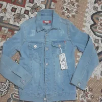 کت لی اسپورت