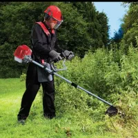 تمیز و هرس کردن