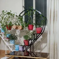 استند گل قلبی
