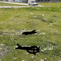 زمین دونبش سندار نیروی انتظامی|فروش زمین و ملک کلنگی|مشگین شهر, |دیوار